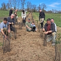 Heckenpflanzung im Elsass Frühjahr 2025