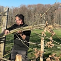 Bau einer Totholzhecke mit integriertem Wiedehopfnistkasten aus Kopfweidenschnitt