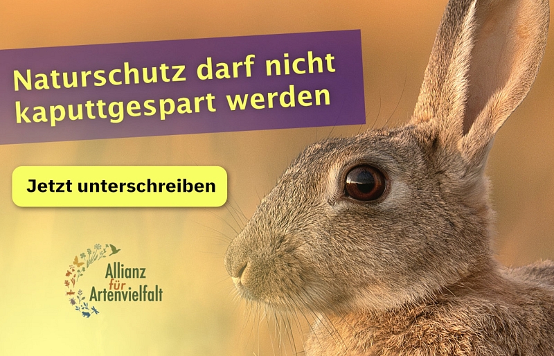 Petition - weitere Förderung für dringende Arten-und Biotopschutzmassnahmen in Baden-Württemberg