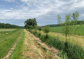 Kopfweiden<br>F-68870 Brinckheim,<br>seit 2023