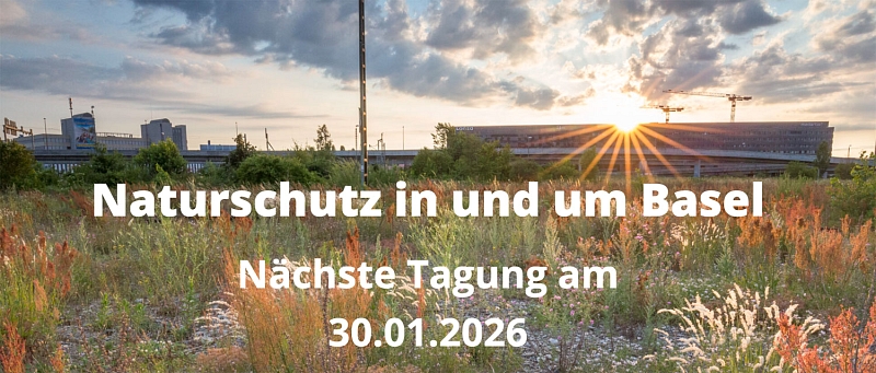 Veranstaltung "Naturschutz in und um Basel" am 30.01.2026