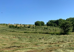 Brinckheim Südelsass