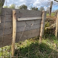 Nistkasten #2 Vorderseite Ranspach le Haut