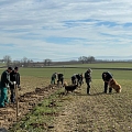 460 Meter Heckenpflanzungen in F-Helfrantzkirch/ Jettingen mit Caps68 und BirdLife Schweiz