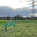 1. Treffen 2026 der Projektteilnehmer Trinationales Steinkauzprojekt Dreiländereck im Elsass