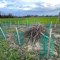 1. Treffen 2026 der Projektteilnehmer Trinationales Steinkauzprojekt Dreiländereck im Elsass