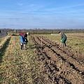 Die erste Heckenpflanzung 2026 in F-68490 Petit-Landau, Ferme Ysengrain