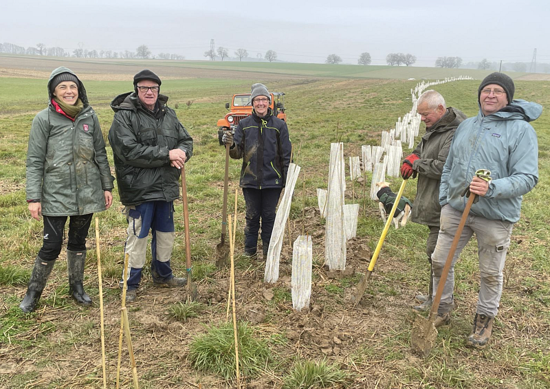 Heckenpflanzung Ferme Wacker Helfrantzkirch