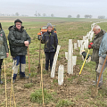 Heckenpflanzung Ferme Wacker Helfrantzkirch