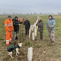 Heckenpflanzung Ferme Wacker Helfrantzkirch