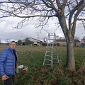 Zwei neue Steinkauzbrutröhren an einem geeigneten Standort im Elsass, wo wir zusätzlich auch Hecken und Einzelbäume pflanzen
