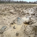 Amphibien - so langsam wird es eng