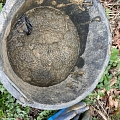 Amphibien - so langsam wird es eng