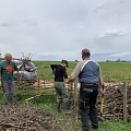 Bau einer zweiten Totholzhecke (Benjeshecke) auf der "Fuchswiese" in Ranspach le Haut