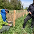 Bau einer zweiten Totholzhecke (Benjeshecke) auf der "Fuchswiese" in Ranspach le Haut