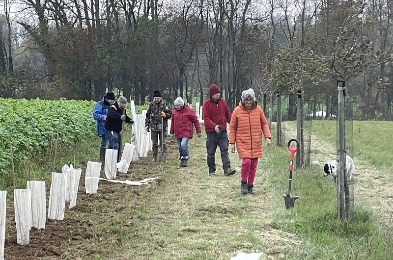 Pflanzung Hecke aus heimischen Sträuchern im südlichen Elsass