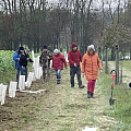 Pflanzung Hecke aus heimischen Sträuchern im südlichen Elsass