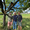 Neue Nistkästen für Steinkauz und Wendehals in F-Ranspach le Haut