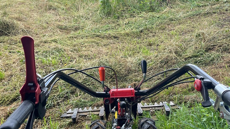 Wiesenmahd mit Balkenmäher
