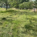 Wiesenmahd mit Balkenmäher