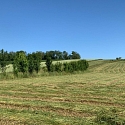 Brinckheim Südelsass