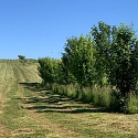 Brinckheim Südelsass