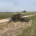 Die daraus entstandenen Totholzhaufen zu beiden Seiten einer im Winter 2021 gepflanzten Weissdornhecke mit BlühstreifenMärz 2022